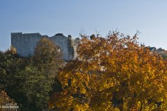 IMG_6138.jpg